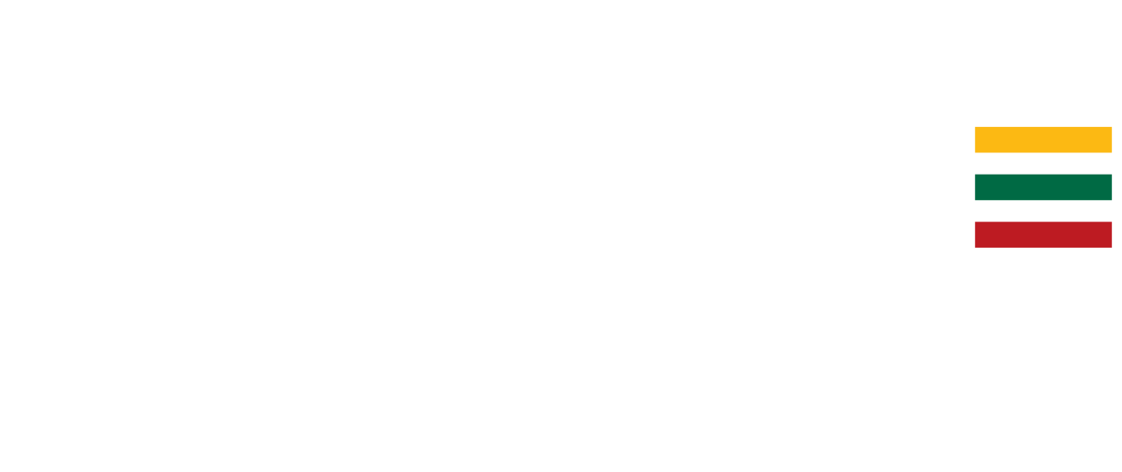 LVF2022 LOGO